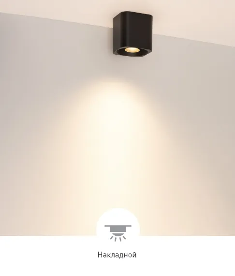 Фото #4 товара ACENTO