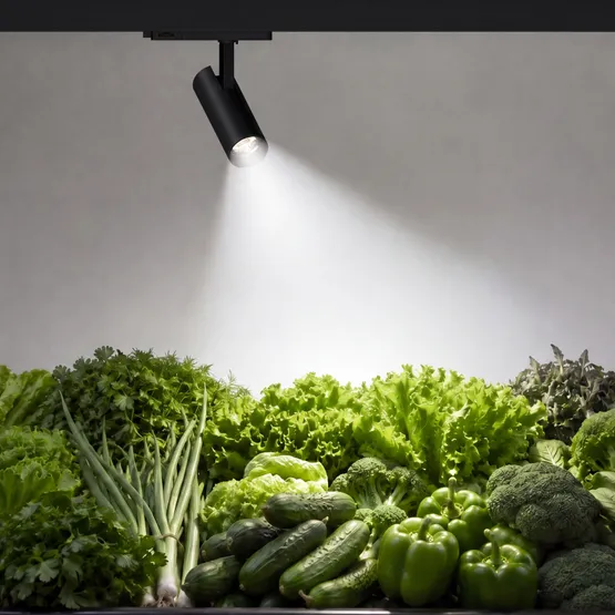 Фото #2 товара Светильник LGD-GERA-4TR-R74-20W Day SP5000-Veg (Черный, 24 deg, 230V) (Arlight, IP20 Металл, 5 лет)