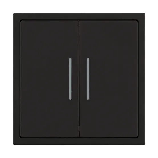 Фото #1 товара Механизм звонкового выключателя двухклавишный LED SWT-NOBE-MKR2-SFPL-L-BK (230V, 10A) (Arlight, Черный оникс)