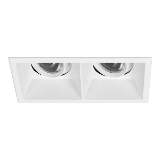 Фото #1 товара Светильник MS-FLOW-BUILT-S157x85-2x12W Day4000 (WH, 15 deg, 230V) (Arlight, IP20 Металл, 5 лет)