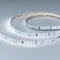 Минифото #1 товара Светодиодная лента DMX-A96-12mm 24V White6000-PX12 (14 W/m, IP20, 5m) (Arlight, CRI>90)