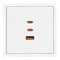 Минифото #3 товара Механизм розетки с быстрой USB зарядкой SCT-NOBE-MUACC-SFPL-FC-WH (65W, QC3) (Arlight, -)