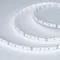 Минифото #1 товара Светодиодная лента MICROLED-M120-8mm 24V White6000 (14 W/m, IP20, 2216, 5m) (Arlight, Открытый)