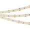 Минифото #1 товара Светодиодная лента RT 2-5000 24V White6000 3x (2835, 840 LED, LUX) (Arlight, 17 Вт/м, IP20)